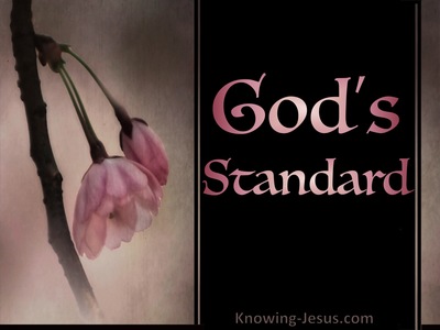 God's Standard (devotional)11-14 (pink)